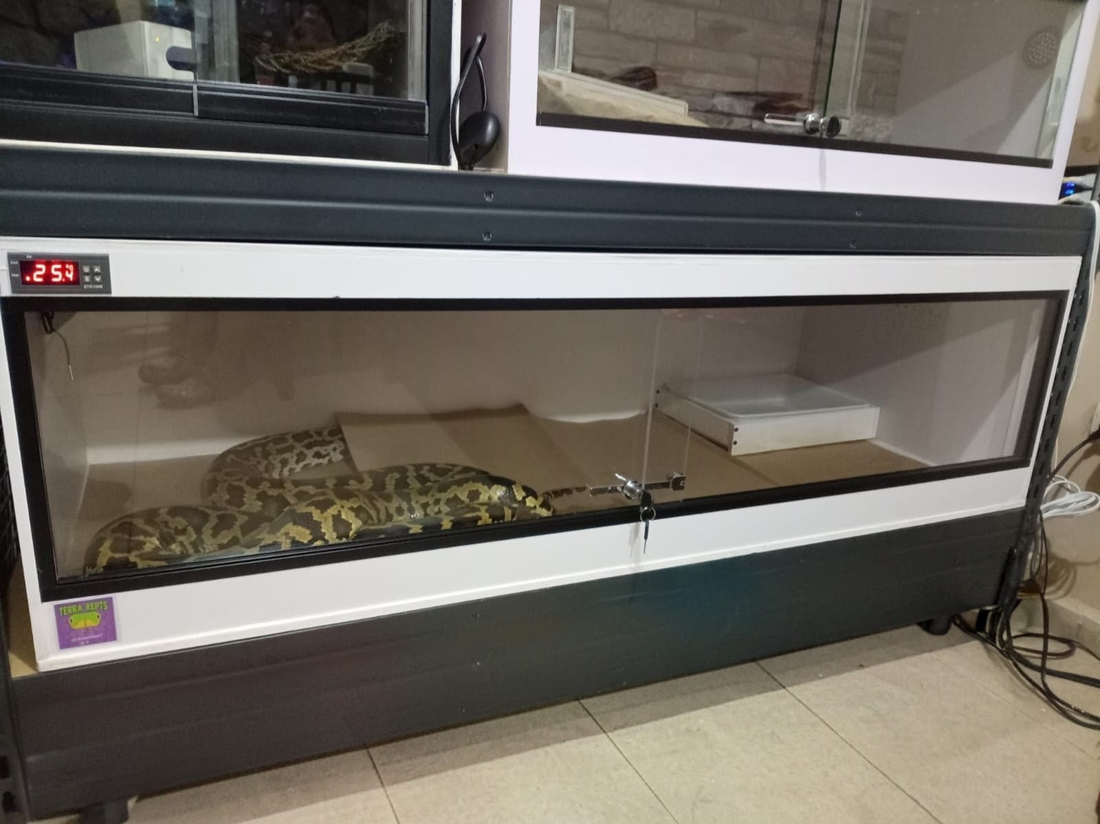 Terrario para Pitón Burmes